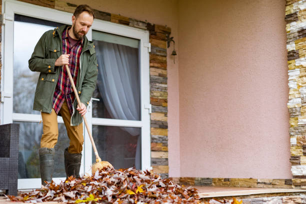 Best Yard Cleanup Services  in Sutton, NE
